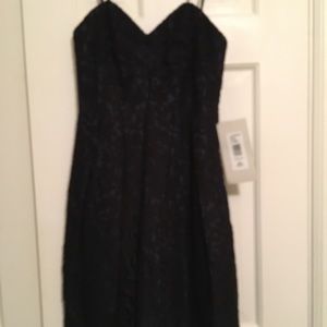 NWT Jill Stewart lace cocktail dress.